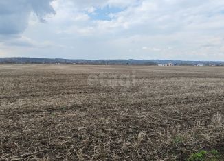 Продаю земельный участок, 11 сот., Курская область, село Лебяжье, 55/42
