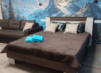 Сдам в аренду 1-ком. квартиру, 30 м2, Хакасия, рабочий посёлок Черёмушки, 9