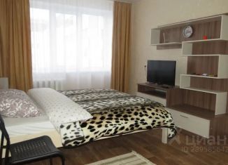 Сдаю однокомнатную квартиру, 39 м2, Псков, улица Рокоссовского, 34