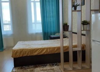 Сдача в аренду квартиры студии, 27 м2, Архангельская область, Беломорский проспект, 35