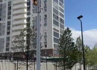 Аренда 1-комнатной квартиры, 30 м2, Казань, улица Аделя Кутуя, 110Е
