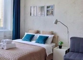Сдается в аренду однокомнатная квартира, 31 м2, Ленинградская область, улица Хохлова, 8