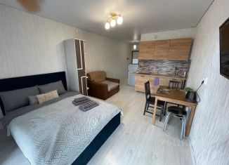 Сдача в аренду однокомнатной квартиры, 27 м2, Татарстан, проспект Строителей, 10