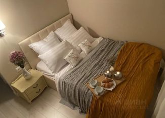 Сдается 1-ком. квартира, 30 м2, Химки, улица 9 Мая, 21к3, ЖК Ленинградский