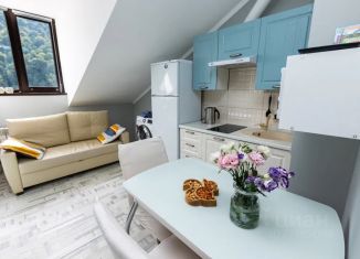 Сдам в аренду 1-ком. квартиру, 25 м2, посёлок городского типа Красная Поляна, Плотинная улица, 2