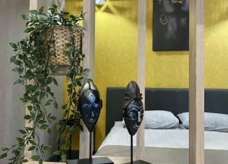 Однокомнатная квартира в аренду, 45 м2, Татарстан, улица Карла Маркса, 48/11