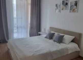 Аренда однокомнатной квартиры, 36 м2, Ленинградская область, улица Шекспира, 1к2