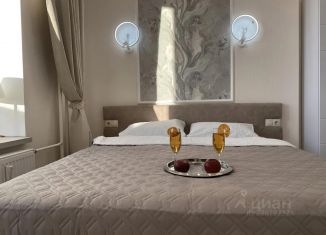 Сдача в аренду 1-ком. квартиры, 18 м2, Ленинградская область, улица Чехова, 43к1