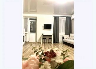 Сдается 1-ком. квартира, 35 м2, Аксай, улица Маяковского, 11к2
