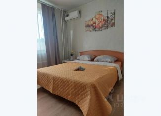 Сдаю в аренду 1-ком. квартиру, 28 м2, Ростовская область, улица Ерёменко, 96/1