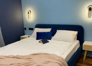 Сдам в аренду квартиру студию, 30 м2, Казань, улица Аделя Кутуя, 110Е
