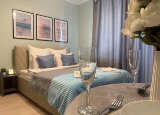 Сдам 1-ком. квартиру, 25 м2, Кудрово, проспект Строителей, 16
