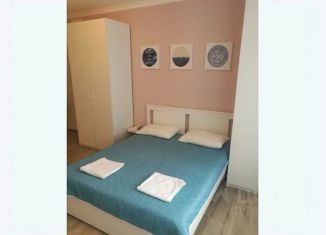 Сдам 1-ком. квартиру, 30 м2, деревня Раздоры, деревня Раздоры, 1