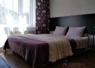 Сдам в аренду 1-ком. квартиру, 29 м2, Московская область, Школьная улица, 10