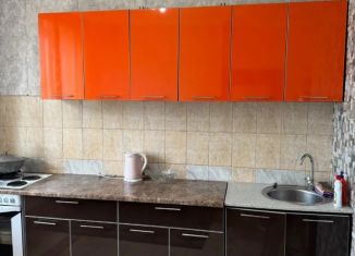 Сдача в аренду 1-ком. квартиры, 43 м2, Московская область, микрорайон 1 Мая, 17