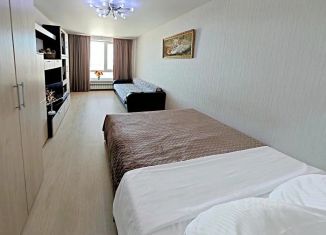 Сдается однокомнатная квартира, 37.3 м2, Самарская область, микрорайон Крутые Ключи, 38