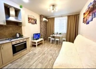 Сдам в аренду 1-комнатную квартиру, 52 м2, Самара, улица Советской Армии, 238А, метро Спортивная