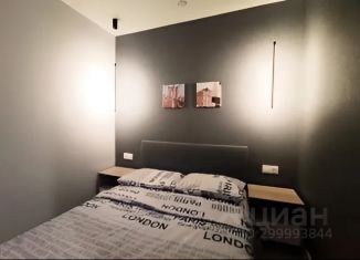 1-комнатная квартира в аренду, 30 м2, Уфа, бульвар Славы, 17, Орджоникидзевский район