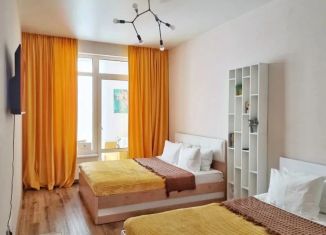 Сдается в аренду 1-ком. квартира, 47 м2, Барнаул, проспект Строителей, 18к1, Железнодорожный район