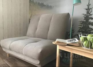 Сдам в аренду 1-комнатную квартиру, 38 м2, Челябинская область, улица Гольца, 9Б