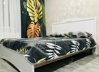 Сдам однокомнатную квартиру, 30 м2, Республика Башкортостан, улица 8 Марта, 3А