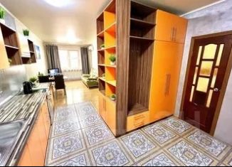 Сдается в аренду 1-ком. квартира, 50 м2, Самара, улица Советской Армии, 238В, метро Российская