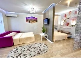 Однокомнатная квартира в аренду, 53 м2, Самара, улица Советской Армии, 238А, метро Спортивная