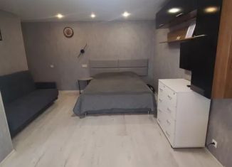 Сдам в аренду 1-ком. квартиру, 32 м2, Дзержинск, бульвар Правды, 6