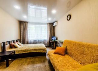 Сдается в аренду 1-ком. квартира, 40 м2, Самара, улица Мяги, 24Б, Железнодорожный район