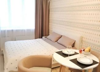 Сдам квартиру студию, 27 м2, Самара, 5-я просека, 143, метро Российская