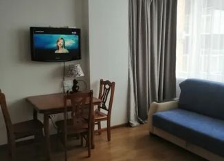 Сдам в аренду квартиру студию, 45 м2, Иркутск, улица Полины Осипенко, 13, Правобережный округ