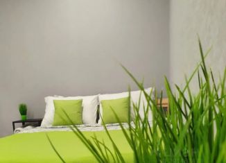 Сдам в аренду 1-комнатную квартиру, 20 м2, Воронеж, улица Героев Сибиряков, 61
