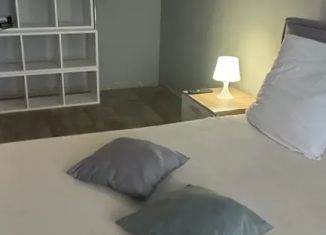 Сдается однокомнатная квартира, 30 м2, Иркутск, улица Розы Люксембург, 118, Ленинский округ