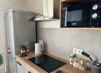Сдача в аренду 1-ком. квартиры, 37 м2, Воронеж, улица Фёдора Тютчева, 93/1, Железнодорожный район
