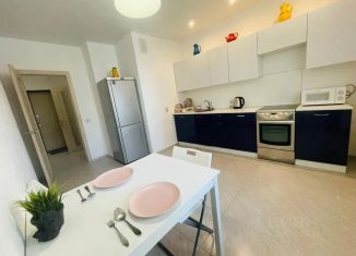 Сдается 1-комнатная квартира, 50 м2, Самара, улица Врубеля, 15, метро Российская
