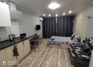 Сдается в аренду 1-комнатная квартира, 25 м2, Воронеж, Ленинский проспект, 100Б