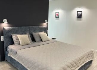 1-ком. квартира в аренду, 40 м2, Челябинская область, улица Блюхера, 3Б