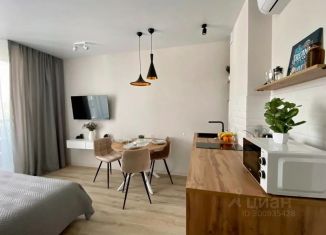 1-ком. квартира в аренду, 25 м2, Воронеж, улица 121-й Стрелковой Дивизии, 9