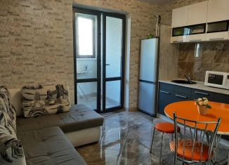 Сдается в аренду 1-комнатная квартира, 45 м2, Самара, Самарская улица, 263, метро Российская