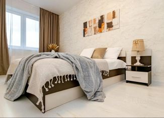 Сдаю в аренду 1-комнатную квартиру, 45 м2, Пермь, Пермская улица, 2