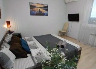 Сдаю 1-ком. квартиру, 40 м2, Самара, улица Гастелло, 22А, метро Спортивная