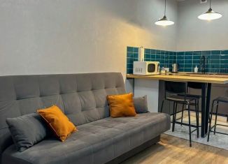 Сдается 2-ком. квартира, 47 м2, Пермь, улица Карла Модераха, 6, ЖК Арсенал