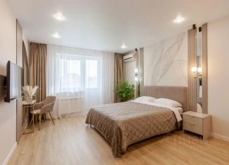 1-комнатная квартира в аренду, 62 м2, Самара, улица Мичурина, 138, метро Российская