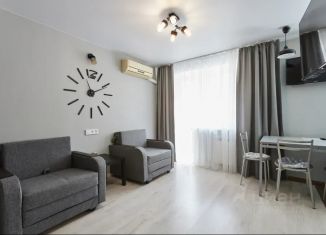 Сдается однокомнатная квартира, 33 м2, Самара, Молодогвардейская улица, 236, метро Российская