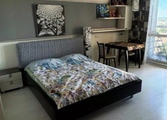Сдам 1-ком. квартиру, 20 м2, Иркутск, улица Семена Лагоды, 4/3, Октябрьский округ