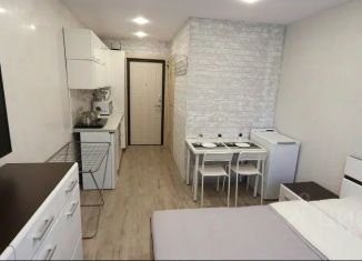 Сдача в аренду однокомнатной квартиры, 21 м2, Красноярский край, проезд Михайличенко, 6