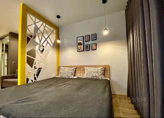 Сдача в аренду квартиры студии, 27 м2, Новосибирская область, улица Ленина, 23А