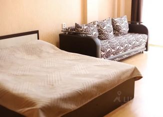 Сдается в аренду однокомнатная квартира, 45 м2, Ростовская область, улица Кирова, 26