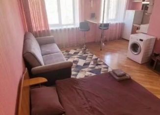 Сдам в аренду однокомнатную квартиру, 33 м2, Барнаул, улица Димитрова, 62