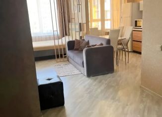 Сдается в аренду однокомнатная квартира, 30 м2, Пензенская область, проспект Победы, 96Е